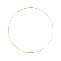Metallic Wedding Hoop